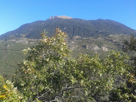 Saludos al foro. He pensado (a ver si os parece bien) abrir un hilo para poner fotos de paisajes de caza. 20