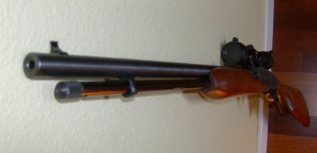 Vendo carabina Remington Speedmaster 552, cargador tubular bajo el cañón con capacidad para 20 cartuchos 01