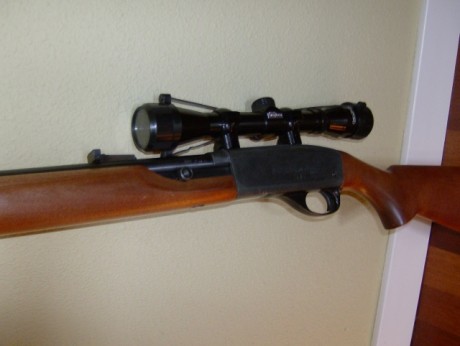 Vendo carabina Remington Speedmaster 552, cargador tubular bajo el cañón con capacidad para 20 cartuchos 00