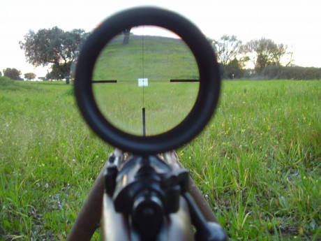 Estoy pensando en probar las puntas H&N HS HP .308 125gr para hacer cargas reducidas para el 308 para 131