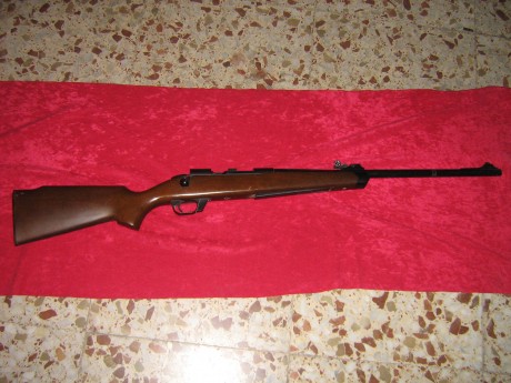 BUENOS DIAS, me ha llegado a las manos esta carabina , la verdad es que no es mi estilo de juguete y mi 00