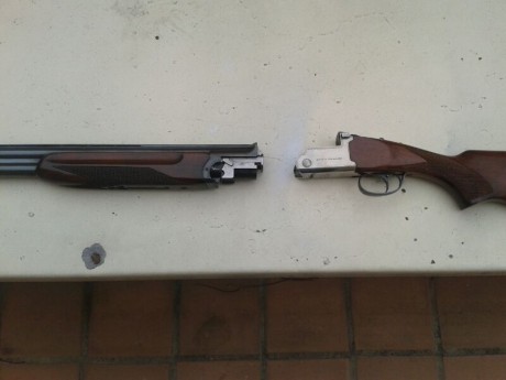 Cerrar tema, informacion encontrada... 31