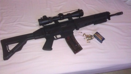 Hola estoy interesado en adquirir una carabina del 22 y mi duda surge entre la GSG5 y la S&W 15-22. 71