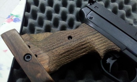 Hola a todos, acabo de adquirir de 2ª mano una pistola Gamo Compact de aire comprimido.
La empuñadura 00