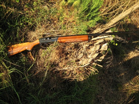 Hola, recientemente he adquirido la Remington 1100 que estaba a la venta en la Armería Navas, para mí 100
