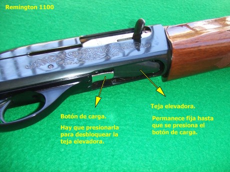 Hola, recientemente he adquirido la Remington 1100 que estaba a la venta en la Armería Navas, para mí 110