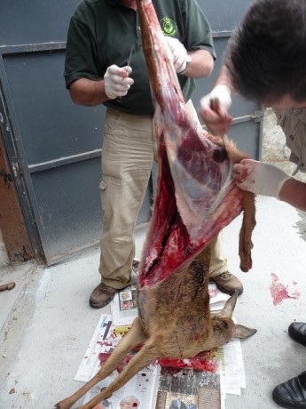 Este es un llamamiento para los foreros de Cantabria que no tenemos el gusto de conocernos en persona, 30