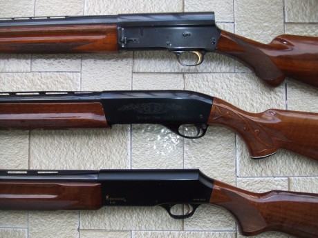 Hoy cazando con la escopeta Browning B80, con casi dos cajas de cartuchos me ha dado 4 o 5 fallos iguales.

Al 61