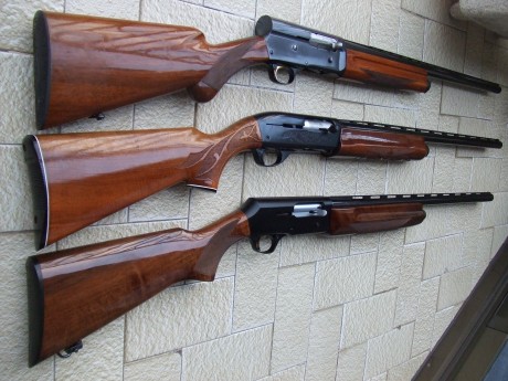 Hoy cazando con la escopeta Browning B80, con casi dos cajas de cartuchos me ha dado 4 o 5 fallos iguales.

Al 60