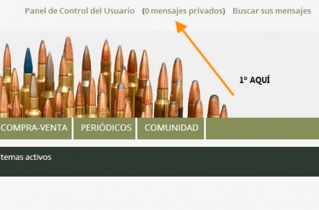 Disculpar mi desconocimiento pero por favor ¿Como se envian los Privados? 

Gracias 20