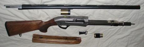 Buenas noches compañeros. Os pedi consejo dias atras para comprar una semiautomatica del calibre 20, me 60