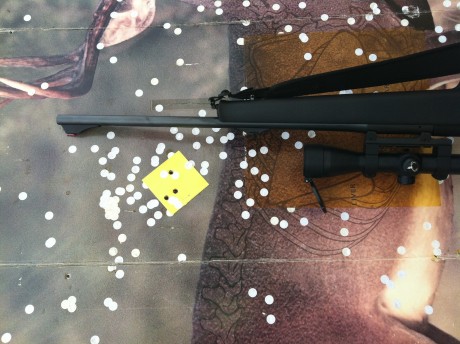 Muy buenas foro. Tengo un maravilloso Winchester 94 AE del 444 marlin, que me ha dado muchas satisfacciones 140