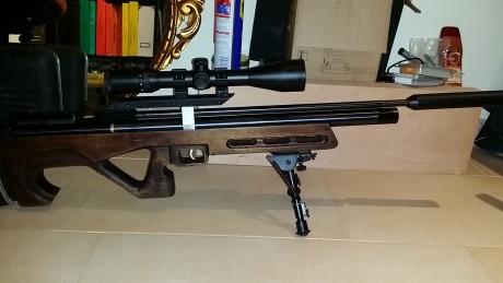 Vendo esta carabina por exceso de armas. Es una hatsan at44  long cal.6'35 cañon LW. Regulador paco70, 22