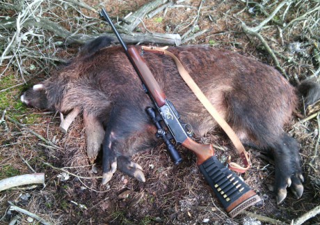 Ya amenacé hace tiempo en el hilo de los Benelli, seguramente es el rifle más extendido en España y cada 30
