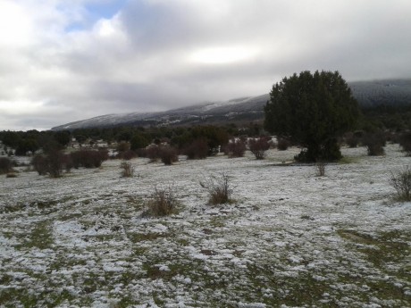 CAMPO DE FIELD TARGET PRADENILLA (SEGOVIA) POR FIN UNA REALIDAD

Bueno amigos, pues mi amigo Juan (Chelin 122
