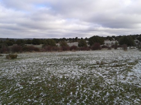 CAMPO DE FIELD TARGET PRADENILLA (SEGOVIA) POR FIN UNA REALIDAD

Bueno amigos, pues mi amigo Juan (Chelin 121
