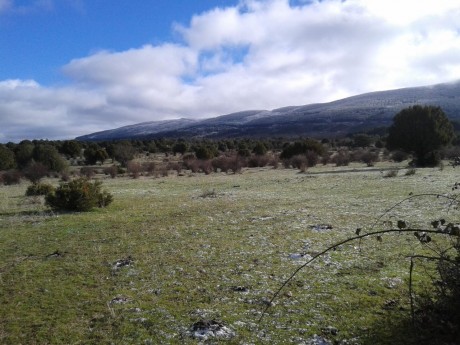 CAMPO DE FIELD TARGET PRADENILLA (SEGOVIA) POR FIN UNA REALIDAD

Bueno amigos, pues mi amigo Juan (Chelin 120