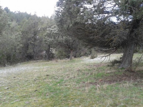 CAMPO DE FIELD TARGET PRADENILLA (SEGOVIA) POR FIN UNA REALIDAD

Bueno amigos, pues mi amigo Juan (Chelin 132