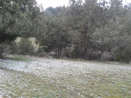 CAMPO DE FIELD TARGET PRADENILLA (SEGOVIA) POR FIN UNA REALIDAD

Bueno amigos, pues mi amigo Juan (Chelin 131
