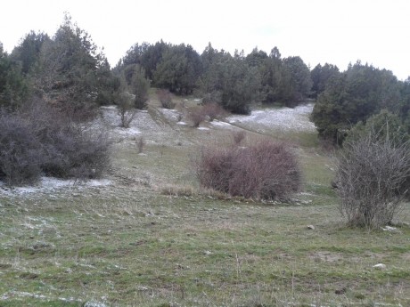 CAMPO DE FIELD TARGET PRADENILLA (SEGOVIA) POR FIN UNA REALIDAD

Bueno amigos, pues mi amigo Juan (Chelin 130