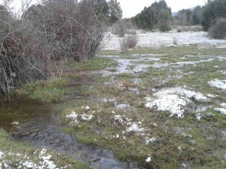 CAMPO DE FIELD TARGET PRADENILLA (SEGOVIA) POR FIN UNA REALIDAD

Bueno amigos, pues mi amigo Juan (Chelin 142