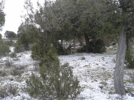 CAMPO DE FIELD TARGET PRADENILLA (SEGOVIA) POR FIN UNA REALIDAD

Bueno amigos, pues mi amigo Juan (Chelin 141