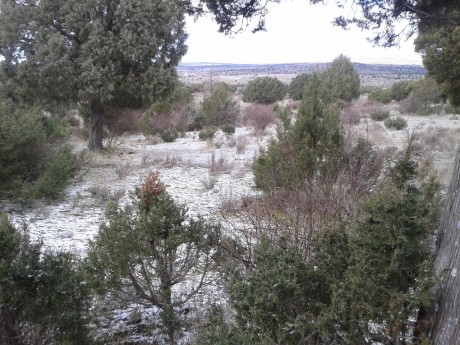 CAMPO DE FIELD TARGET PRADENILLA (SEGOVIA) POR FIN UNA REALIDAD

Bueno amigos, pues mi amigo Juan (Chelin 140
