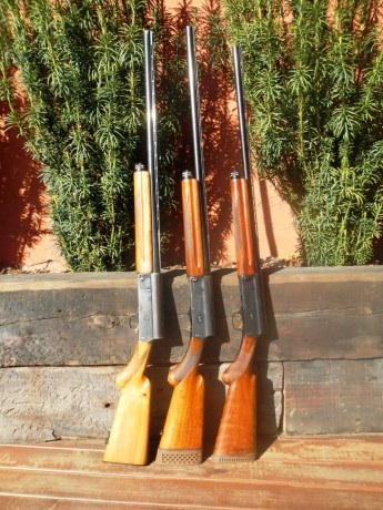 Ya amenacé hace tiempo en el hilo de los Benelli, seguramente es el rifle más extendido en España y cada 100