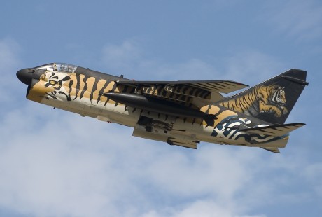 Pues eso, en este hilo pretendo deleitaros como amantes de los aviones de combate que sois muchos, con 170