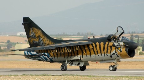 Pues eso, en este hilo pretendo deleitaros como amantes de los aviones de combate que sois muchos, con 22