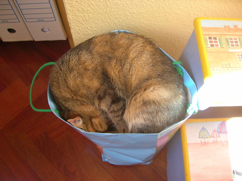 Pues eso, una imagen vale más que mil palabras, al parecer "Conan" tiene amor a las bolsas de 90