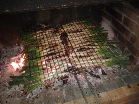 ALMUERZOS DE CAZA MENOR NO CUENTAN Y LOS ABATES SIN FOTO 

Voy a recordar las normas y asi los nuevos 01