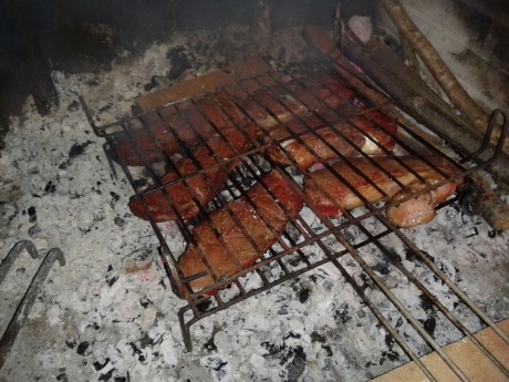 ALMUERZOS DE CAZA MENOR NO CUENTAN Y LOS ABATES SIN FOTO 

Voy a recordar las normas y asi los nuevos 00