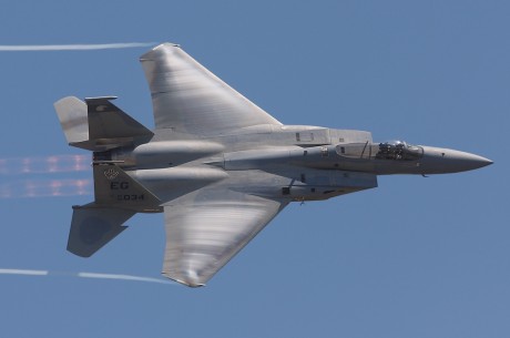 Pues eso, en este hilo pretendo deleitaros como amantes de los aviones de combate que sois muchos, con 22