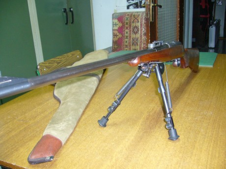 Vendido bipode fijo, sigue en venta el basculante.

Ultimo precio 70 euros y 100 euros por el basculante.

Buenas 01