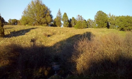 CAMPO DE FIELD TARGET PRADENILLA (SEGOVIA) POR FIN UNA REALIDAD

Bueno amigos, pues mi amigo Juan (Chelin 10