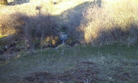 CAMPO DE FIELD TARGET PRADENILLA (SEGOVIA) POR FIN UNA REALIDAD

Bueno amigos, pues mi amigo Juan (Chelin 30