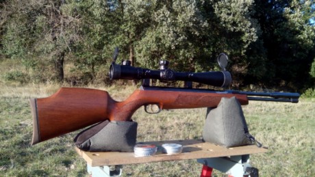 CAMPO DE FIELD TARGET PRADENILLA (SEGOVIA) POR FIN UNA REALIDAD

Bueno amigos, pues mi amigo Juan (Chelin 110