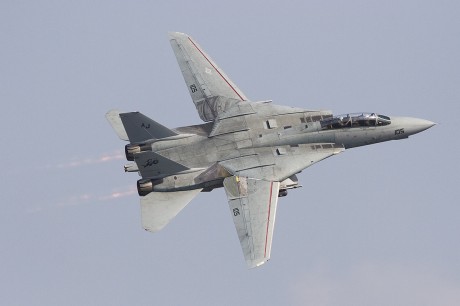 Pues eso, en este hilo pretendo deleitaros como amantes de los aviones de combate que sois muchos, con 150
