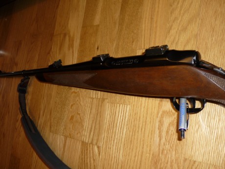Pues lo dicho vendo rifle Sauer 90 calibre 30-06 , con bases apel, puntos de mira de fibra optica Williams, 50