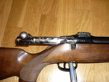 Pues lo dicho vendo rifle Sauer 90 calibre 30-06 , con bases apel, puntos de mira de fibra optica Williams, 72