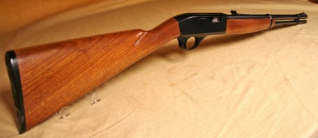 tengo la carabina de la marca colt colteer 22 l.r desde hace unos años gracias a un forero, no tengo muchos 00