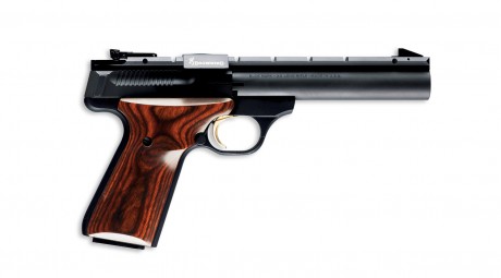 Hola compañeros y un saludo a todo al foro, necesito de vuestra ayuda para ver que pistola me puedo comprar; 120