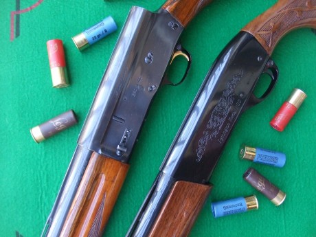 Hola, recientemente he adquirido la Remington 1100 que estaba a la venta en la Armería Navas, para mí 61
