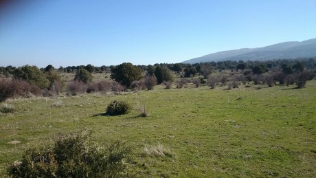 CAMPO DE FIELD TARGET PRADENILLA (SEGOVIA) POR FIN UNA REALIDAD

Bueno amigos, pues mi amigo Juan (Chelin 71