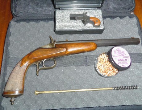 Hola,

Últimamente el tema de las armas y municiones Flobert salió en varios hilos, algunos que nos comunicamos 60