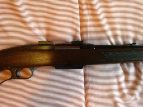 Hola compañeros, acabo de ver en compra-venta un anuncio de un Winchester 88 y simplemente me parecio 81