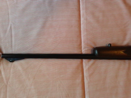 Hola compañeros, acabo de ver en compra-venta un anuncio de un Winchester 88 y simplemente me parecio 80