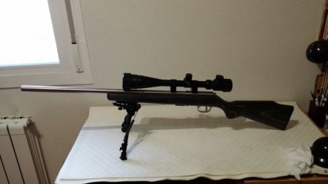 Quiero comprar una carabina en un calibre que me llama mucho la atención el 17 HMR y me surge la duda 61