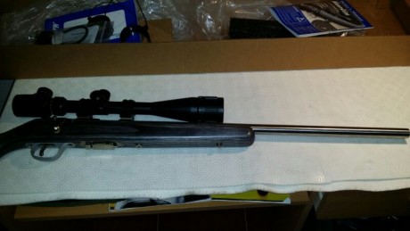 Quiero comprar una carabina en un calibre que me llama mucho la atención el 17 HMR y me surge la duda 60
